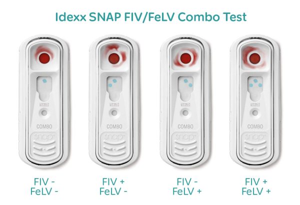 FIV (mačja sida) i FeLV (mačja leukemija)