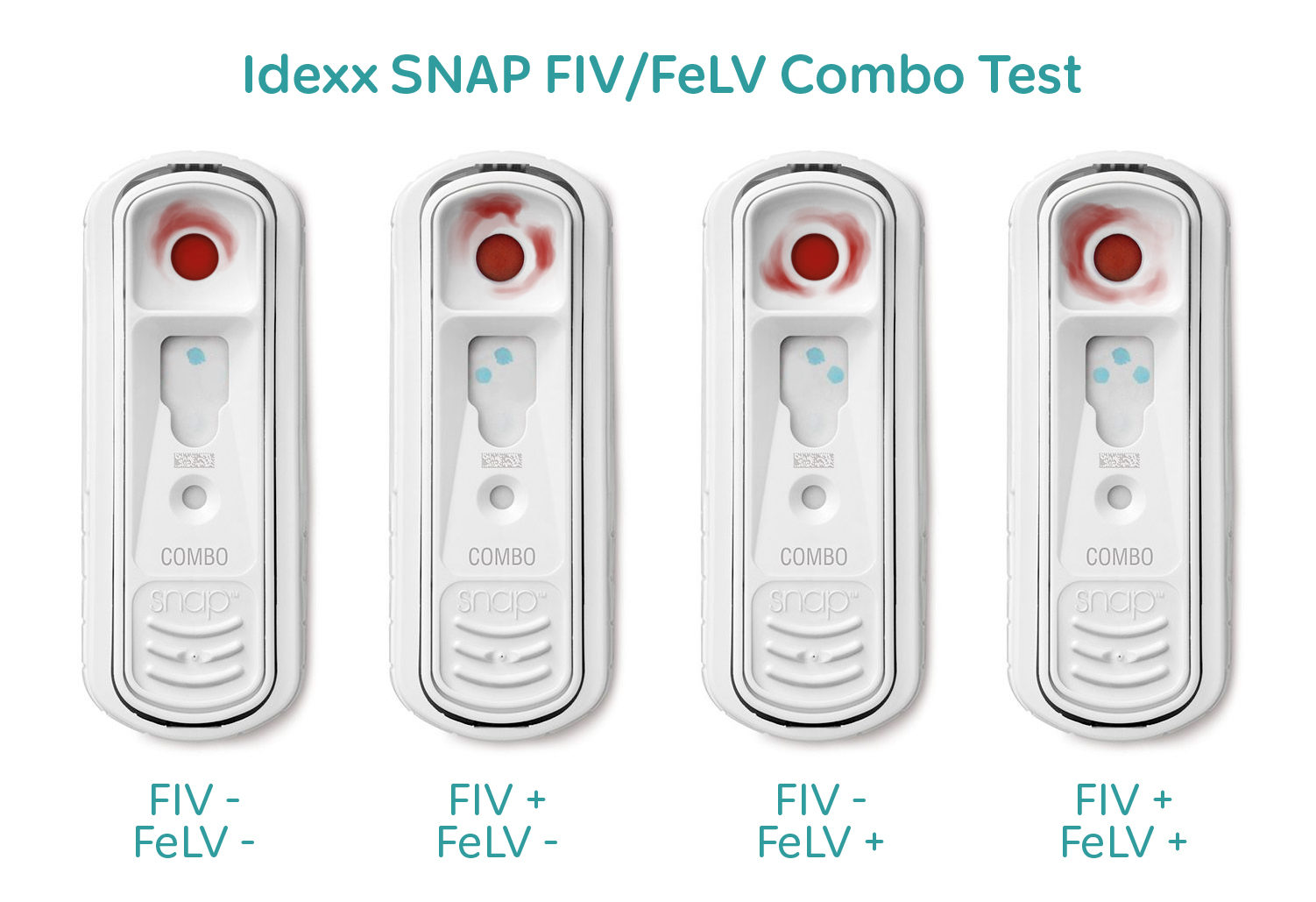 FIV (mačja sida) i FeLV (mačja leukemija)